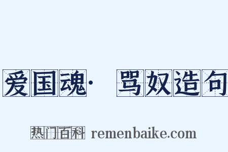 爱国魂·骂奴造句是什么意思的图片